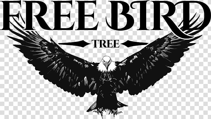 Eagle Logo, Free Bird, Lynyrd Skynyrd, Drawing, Landscape Painting, Internet Meme, Bird Of Prey, Black And White transparent background PNG clipart