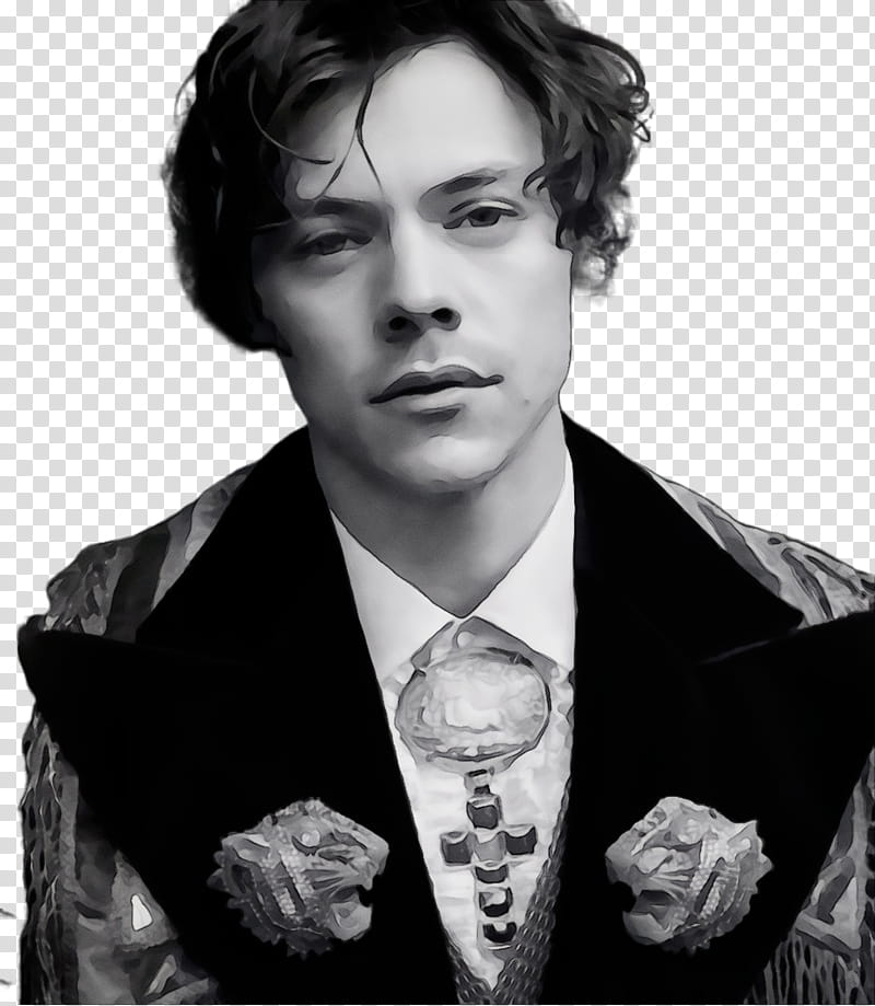 Love Sign, Harry Styles, Singer, One Direction, Musician, Gucci, Model, Sign Of The Times transparent background PNG clipart