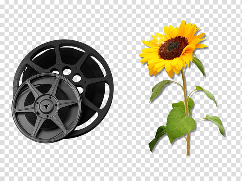 Render Jover Design, yellow sunflower and gray vehicle wheel illustration transparent background PNG clipart