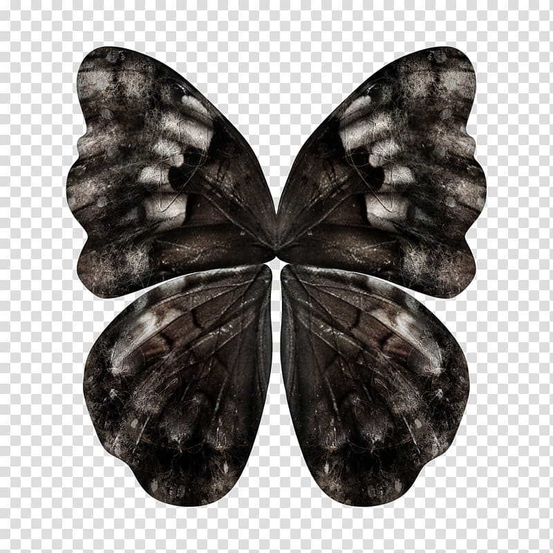 D Fae Wings , black butterfly transparent background PNG clipart