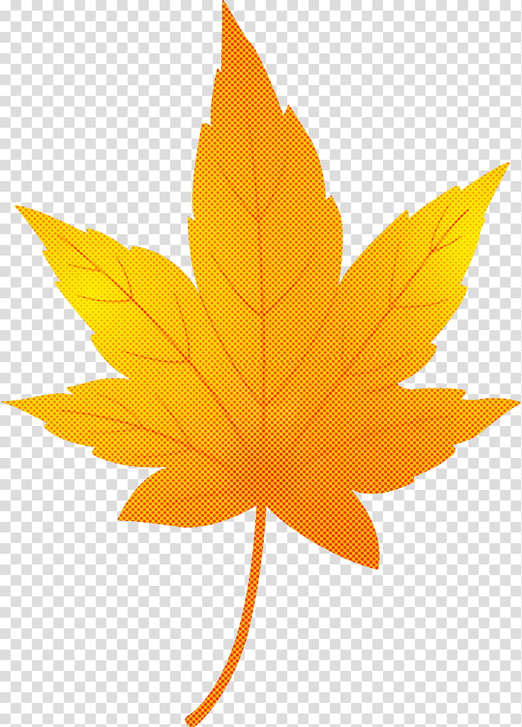 maple leaf autumn leaf yellow leaf, Tree, Orange, Plant, Woody Plant, Black Maple, Plane, Sweet Gum transparent background PNG clipart