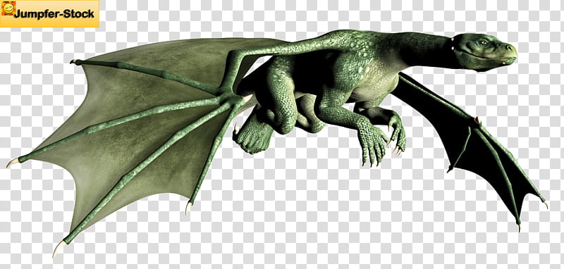 Dragon Poses , green dragon illustration transparent background PNG clipart