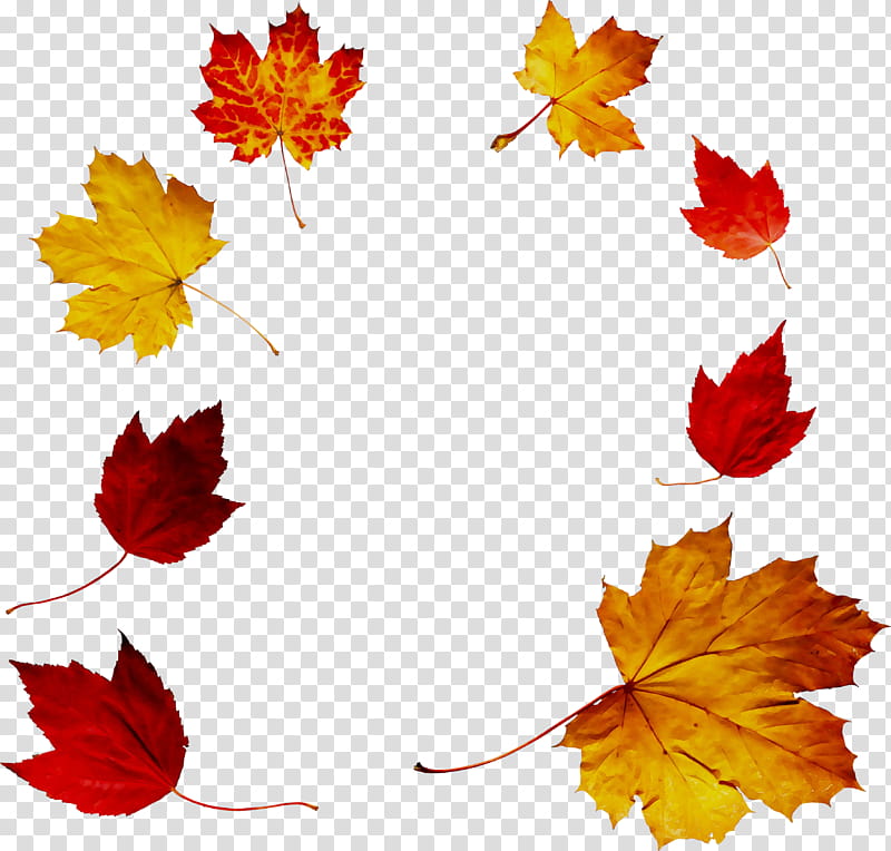 Autumn, Leaf, Maple Leaf, Short Story, Voicelessness, Literature, Wypracowanie, Consonant transparent background PNG clipart