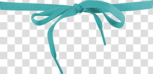s, blue shoe lace transparent background PNG clipart