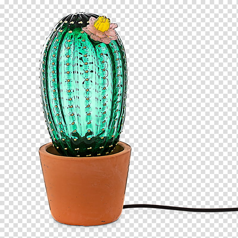 Cactus, Flowerpot, Green, Plant, Houseplant, Caryophyllales, Succulent Plant, Saguaro transparent background PNG clipart