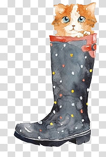 New , white and beige kitten in rain boot painting transparent background PNG clipart
