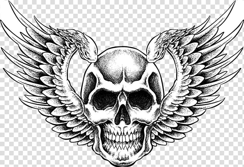 Human Skull Drawing, Skull Art, Bone, Head, Emblem, Symbol, Tattoo, Jaw transparent background PNG clipart