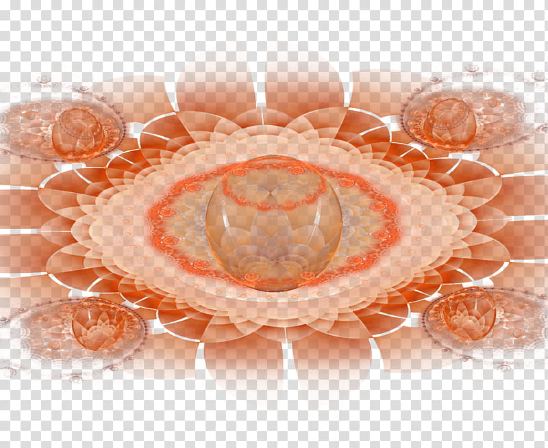 Juggalo Fractal , orange petal flower transparent background PNG clipart