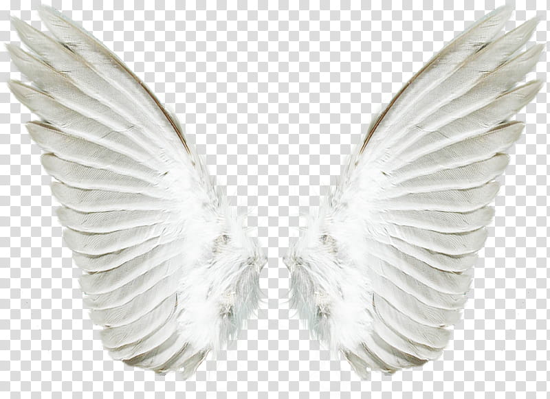 PART Material, white Angel wings transparent background PNG clipart