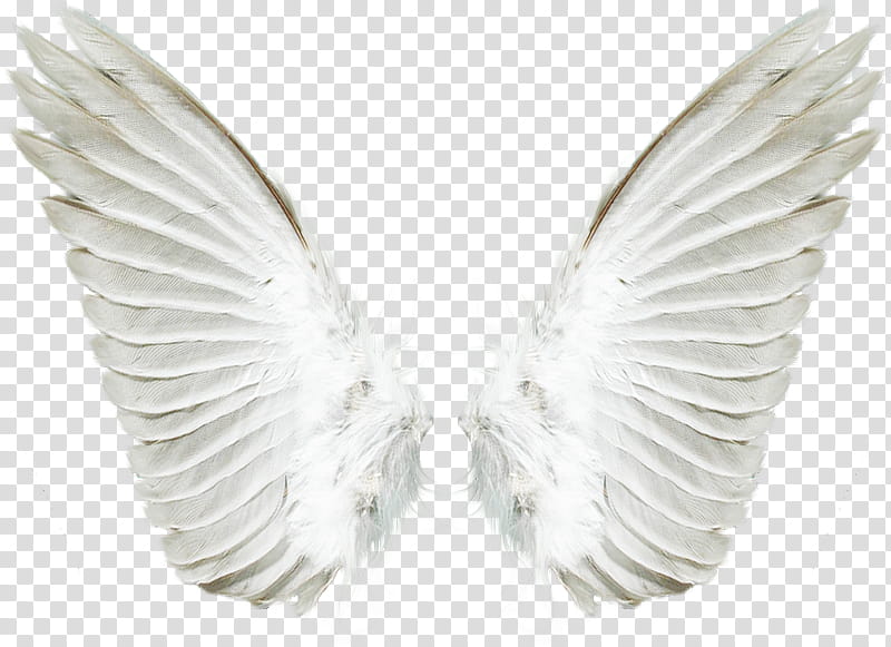 Angel PNG transparent image download, size: 900x675px