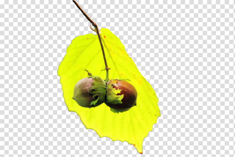 leaf yellow plant tree flower, Bud transparent background PNG clipart