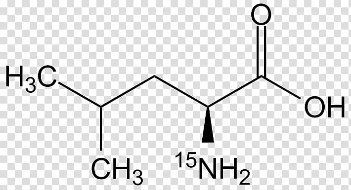 Acid Text, Valeric Acid, Amino Acid, Methionine, 2ethylhexanoic Acid, Umbellic Acid, Chemical Compound, Dihidroksicinaminska Kiselina transparent background PNG clipart