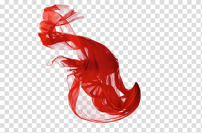 red scarf transparent background PNG clipart