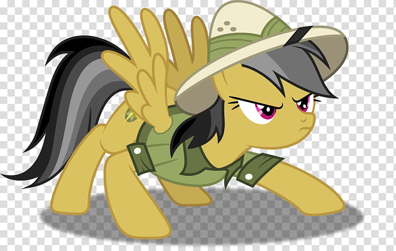 Daring Do transparent background PNG clipart