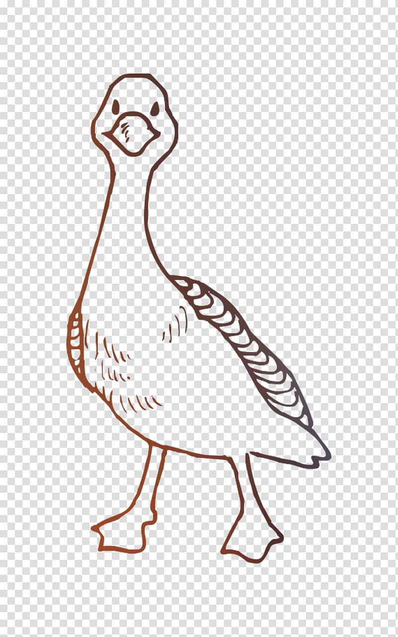 Bird Line Drawing, Duck, Chicken, Cartoon, Swans, Architecture, Line Art, Animal transparent background PNG clipart