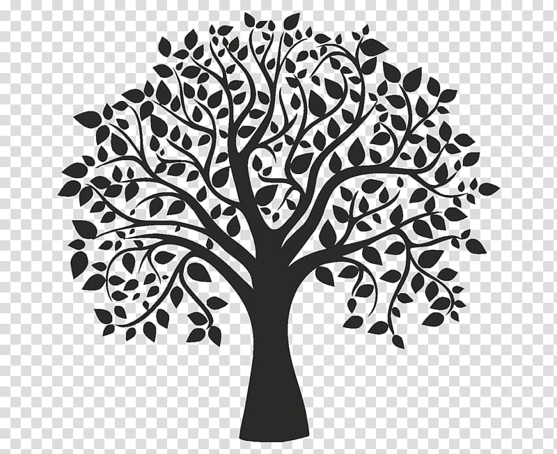 Tree Trunk Drawing, Silhouette, Black, White, Oak, Tree Black White, Leaf, Branch transparent background PNG clipart