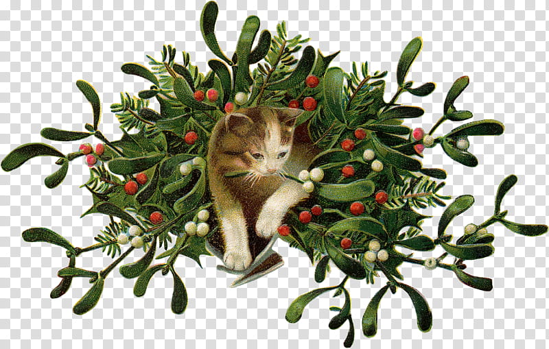 Christmas Gift, Cat, Mistletoe, Christmas Day, Wreath, Vintage Christmas, Christmas Ornament, Branch transparent background PNG clipart