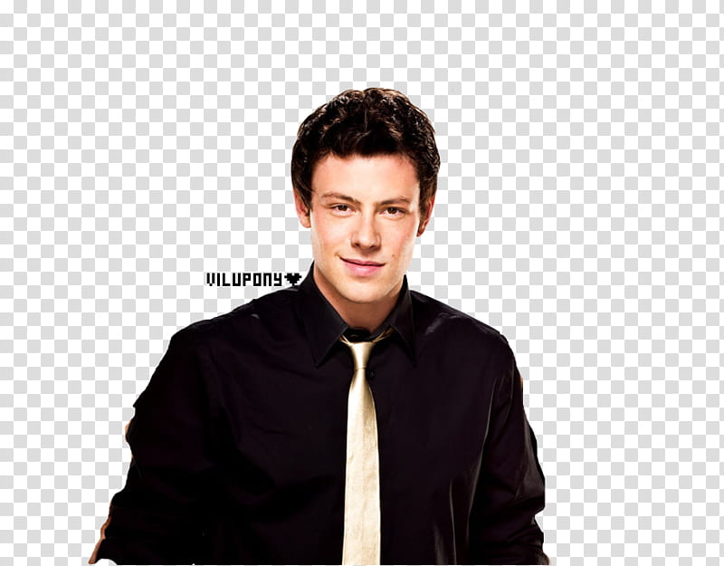 Finn Hudson transparent background PNG clipart