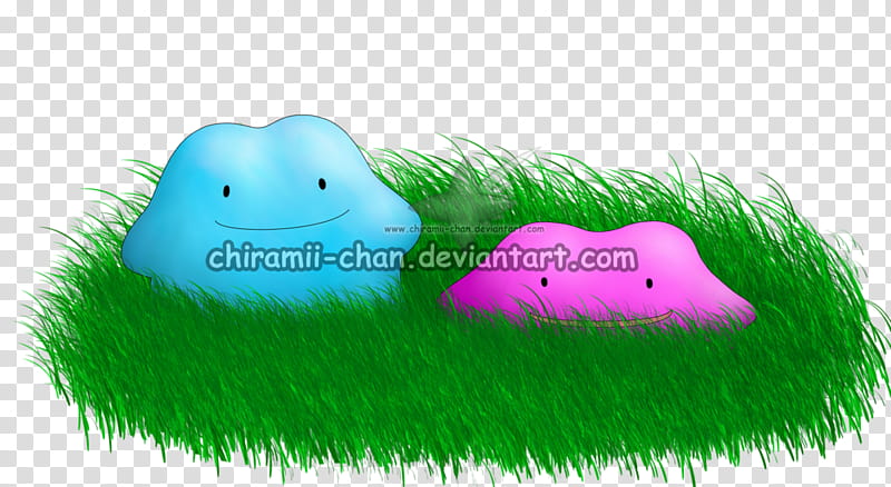 Ditto transparent background PNG clipart