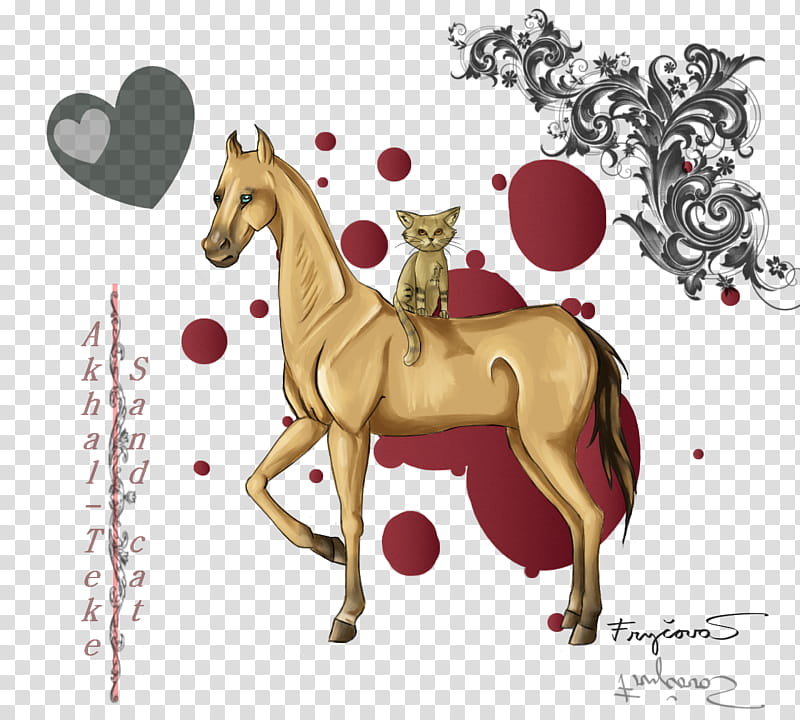 Akhal Teka and Sand cat transparent background PNG clipart