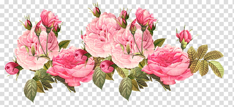 Pink Flower, Floral Design, Flower Bouquet, Floristry, Pink Flowers, Rose, Painting, Cut Flowers transparent background PNG clipart