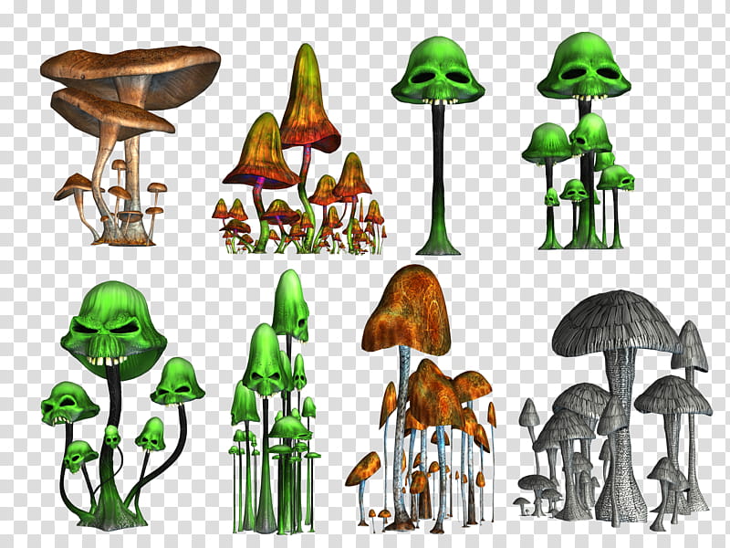 Magic Mushrooms , assorted-color mushrooms illustration transparent background PNG clipart