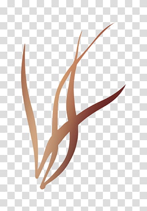 Logo, Line, Antler, Plant transparent background PNG clipart thumbnail