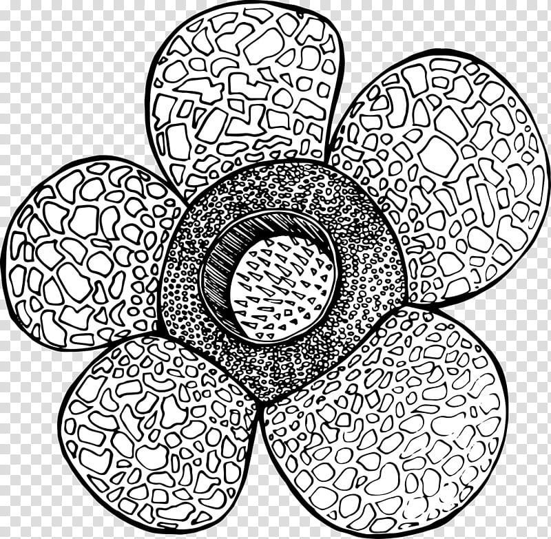 Black And White Flower, Line Art, Motif, Imagination, Coloring Book, Ntu North Spine Plaza, Black And White
, Circle transparent background PNG clipart