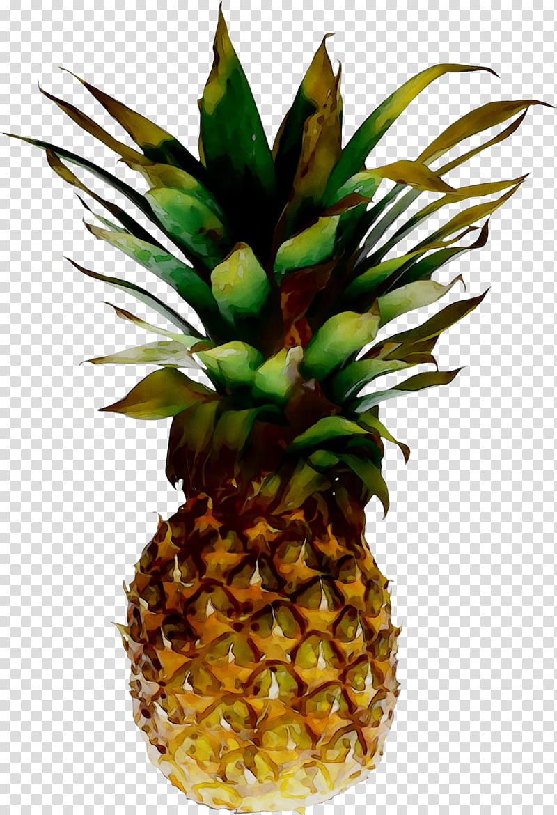 Fruit, Pineapple, Ananas, Plant, Natural Foods transparent background PNG clipart