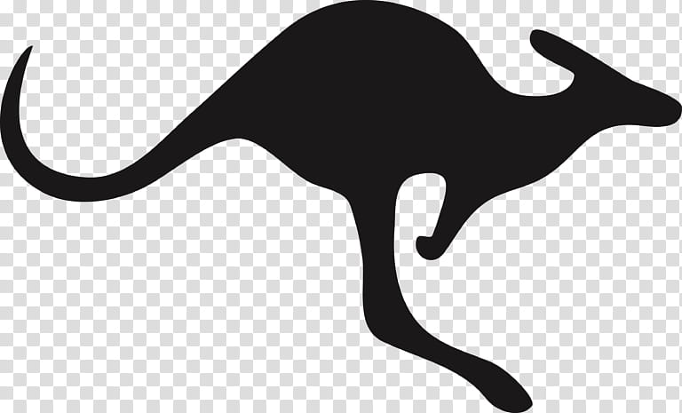Kangaroo, Macropods, Silhouette, Drawing, Flag Of Australia, Boxing Kangaroo, Tail, Black Cat transparent background PNG clipart