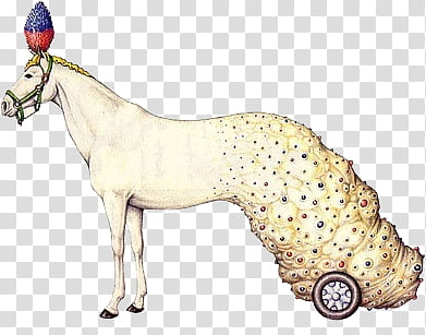 Idk, white horse illustration transparent background PNG clipart