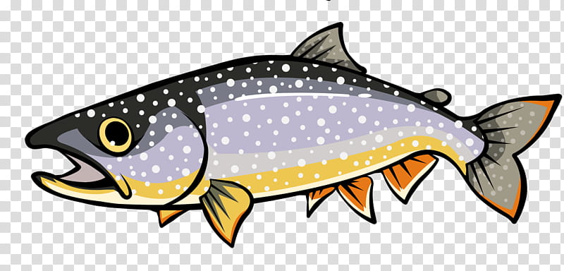 Sea, Fish, Seafood, Saltwater Fish, Computer Software, Bony Fish, Perch transparent background PNG clipart