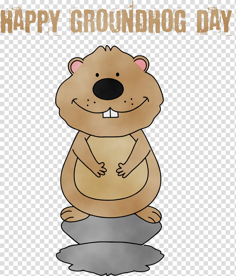 Groundhog day, Happy Groundhog Day, Spring
, Watercolor, Paint, Wet Ink, Cartoon, Brown Bear transparent background PNG clipart