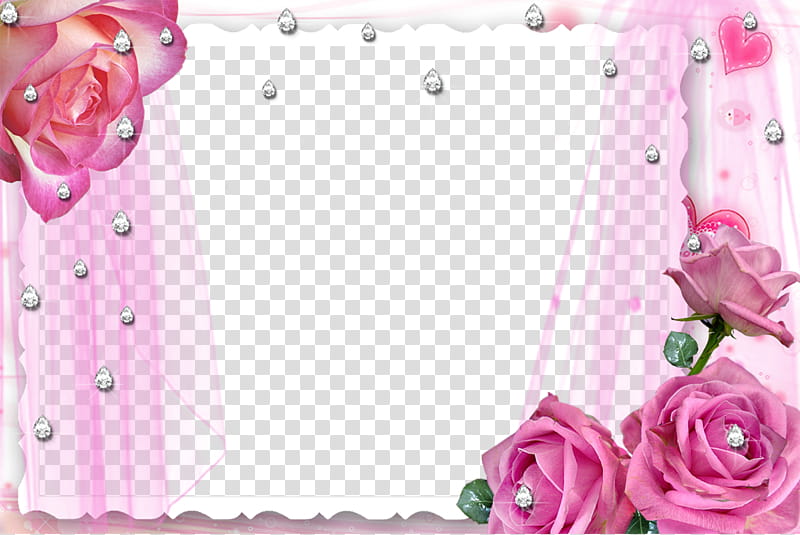 Marco con rosas transparent background PNG clipart