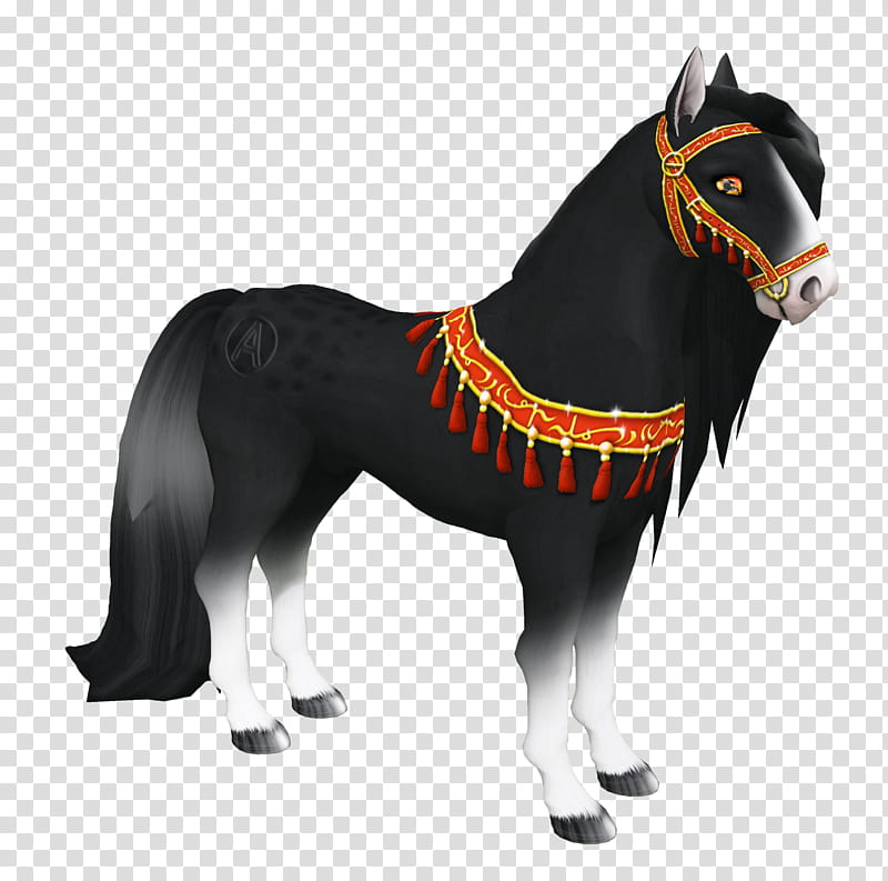 Horse, Arabian Horse, Horse Show, Stallion, Mustang, Pony, Amaretto, November 5 transparent background PNG clipart