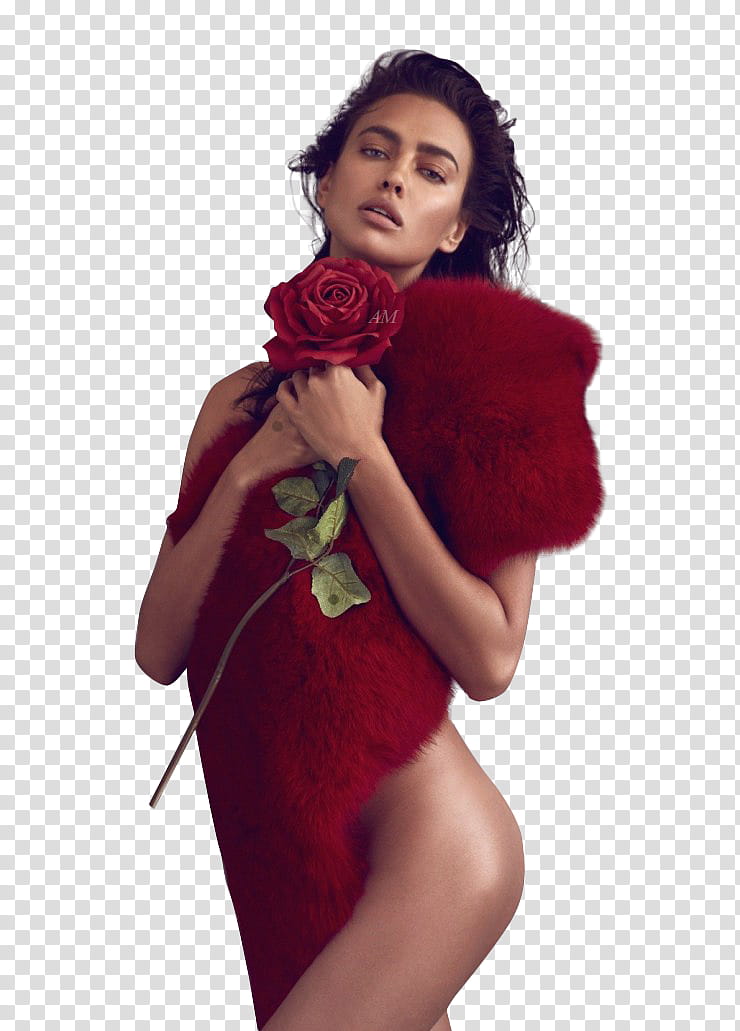 IRINA SHAYK transparent background PNG clipart