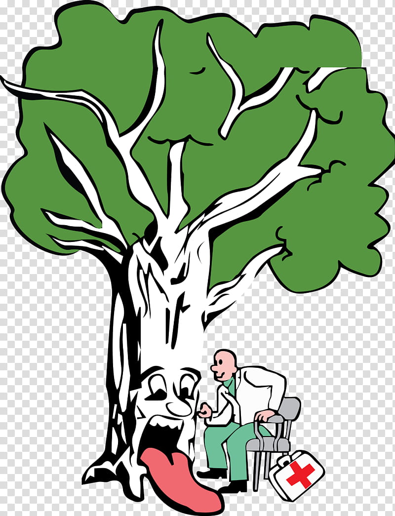 Oak Tree Drawing, Arborist, Certified Arborist, Arboriculture, Pruning, International Society Of Arboriculture, Brockley Tree Service, Tree Care transparent background PNG clipart