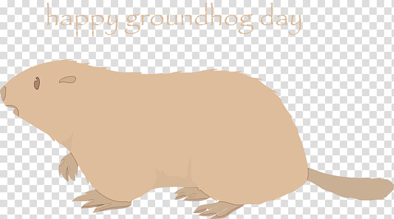 groundhog guinea pig marmot beaver animal figure, Groundhog Day, Happy Groundhog Day, Spring
, Watercolor, Paint, Wet Ink, Mole transparent background PNG clipart