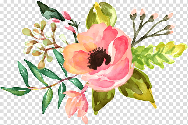 Bouquet Of Flowers Drawing, Watercolor Painting, Floral Watercolour, Logo, Watercolour Flowers, Petal, Plant, Pink transparent background PNG clipart