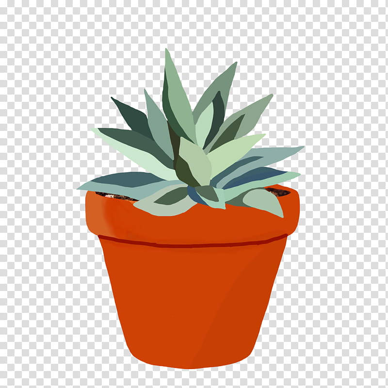 Picsart, Drawing, Succulent Plant, Flowerpot, Agave, Echeveria, Leaf, Houseplant transparent background PNG clipart