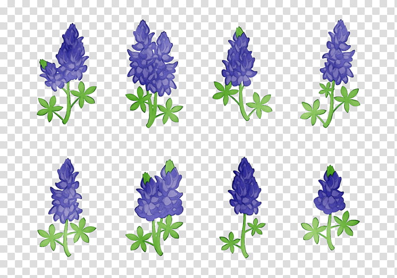 Flowers, Bluebonnet, Purple, Lavender, Cut Flowers, Tree, Plant, Lupin transparent background PNG clipart