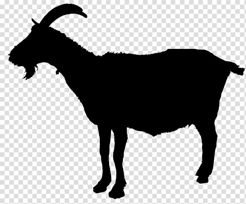 Drawing Of Family, Silhouette, Stencil, Goats, Goatantelope, Cowgoat Family, Live, Feral Goat transparent background PNG clipart