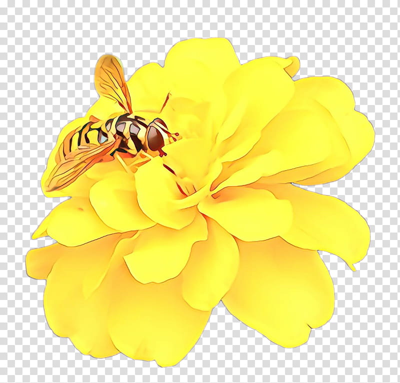 Flowers, Cartoon, Honey Bee, Nectar, Yellow, Petal, Cut Flowers, Honeybee transparent background PNG clipart