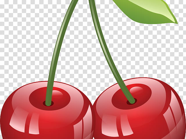 Cherry Tree, Cherries, Cherry Pie, Sour Cherry, Maraschino Cherry, Barbados Cherry, Cerasus, Berries transparent background PNG clipart