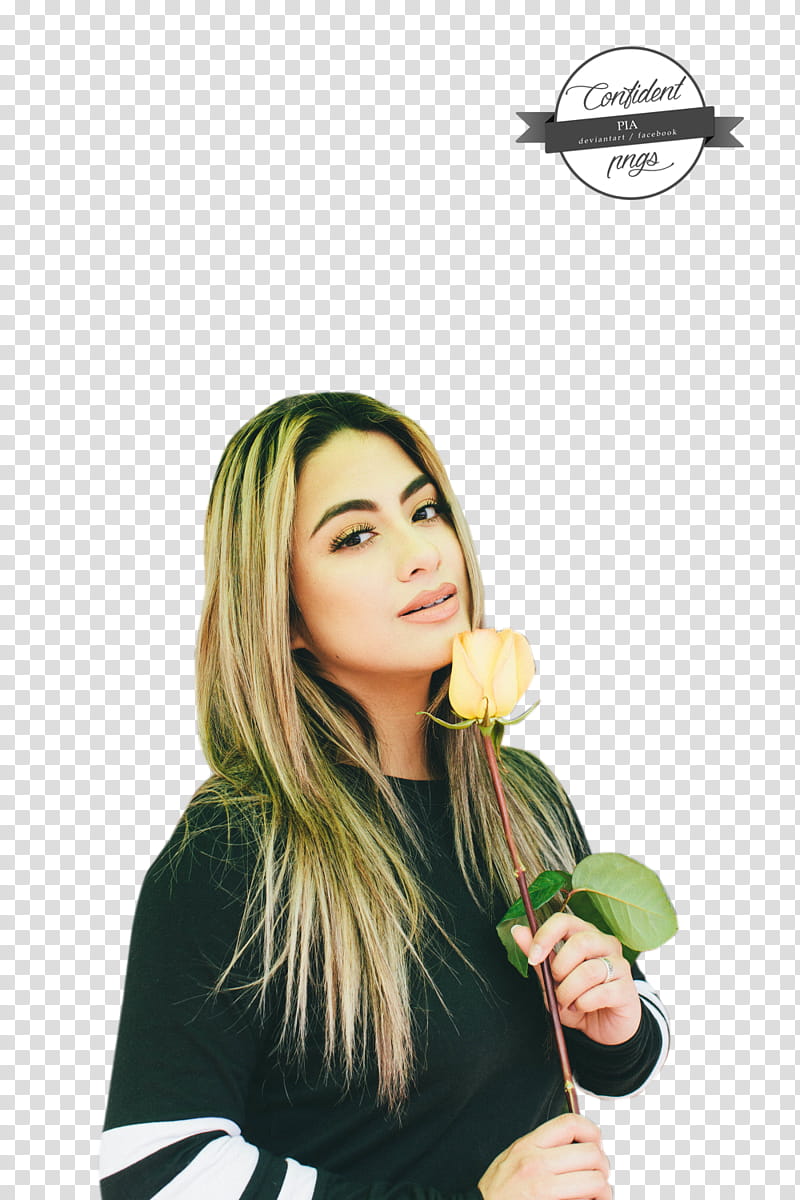 ALLY BROOKE , Ally Brooke () icon transparent background PNG clipart