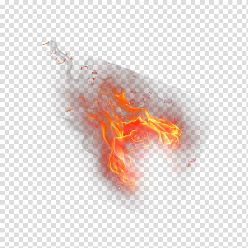 Explosion, Tiger, Flame, Fire, Heat, Drawing, Computer, Conflagration transparent background PNG clipart