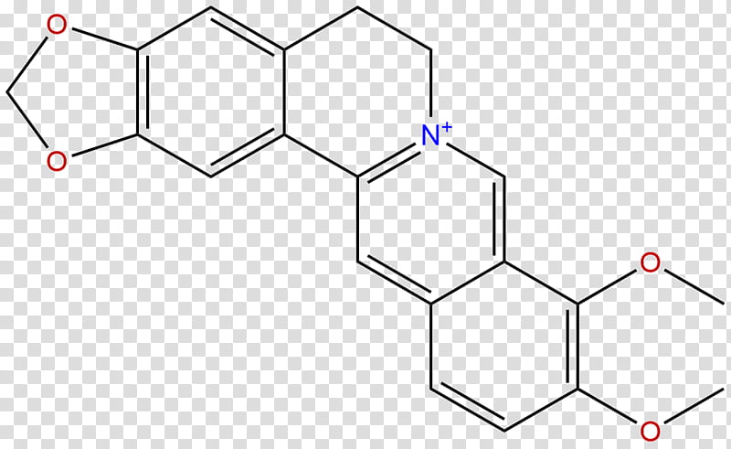 Chemistry, Palmatine, Berberine, Chemical Compound, Chloride, Isoquinoline, Pharmaceutical Drug, Enzyme Inhibitor transparent background PNG clipart