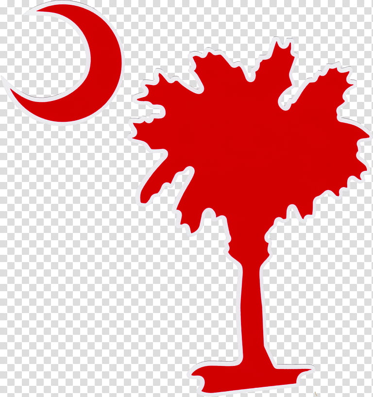 Palm Tree, Sabal Palm, Palm Trees, Flag Of South Carolina, Crescent, Sticker, Wall Decal, Arecales transparent background PNG clipart