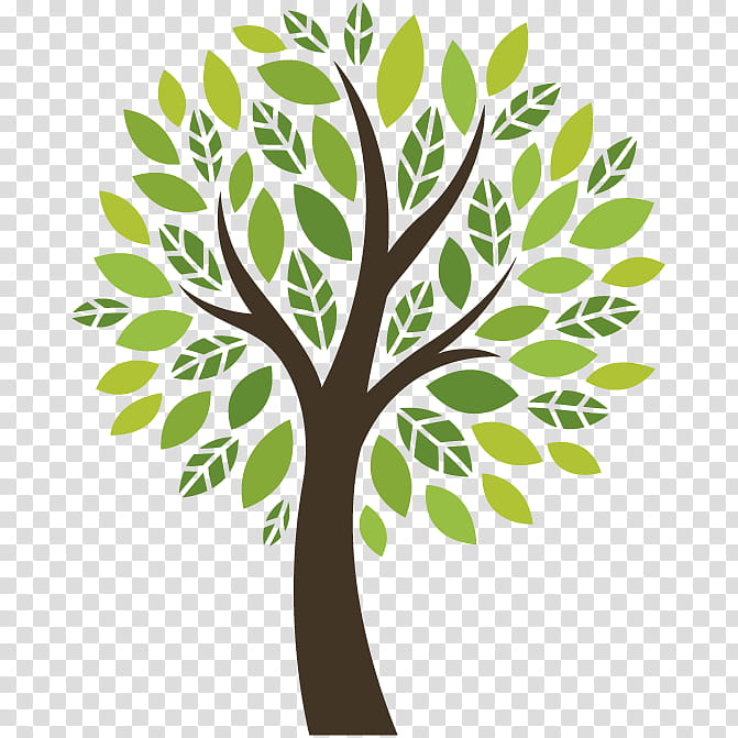 Tree Of Life, Mandell Jcc, Exercise, Leaf, Green, Plant, Woody Plant, Branch transparent background PNG clipart