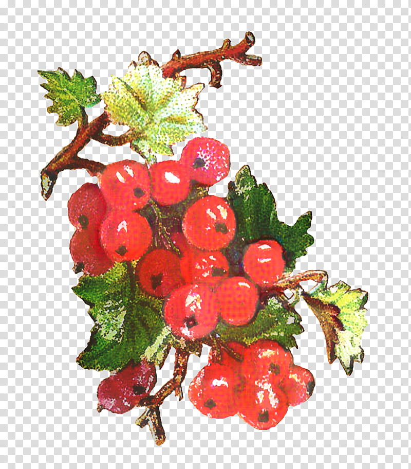 Juice, Gooseberry, Hawthorn, Redcurrant, Zante Currant, Blackcurrant, Strawberry, Cranberry transparent background PNG clipart